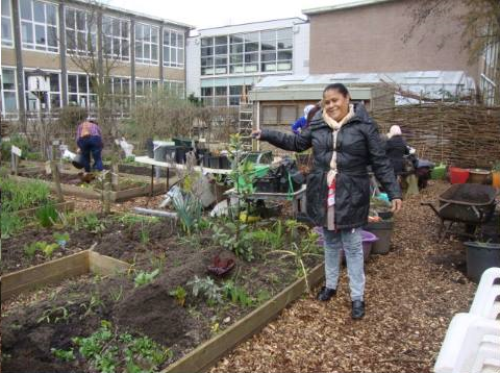 Een moestuin dat onderhouden wordt door Facilicom collega's